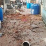 तांबापुरा परिसरात क्रिकेटवरून दोन गटांत हाणामारी; दगडफेकीत तीन तरुण जखमी